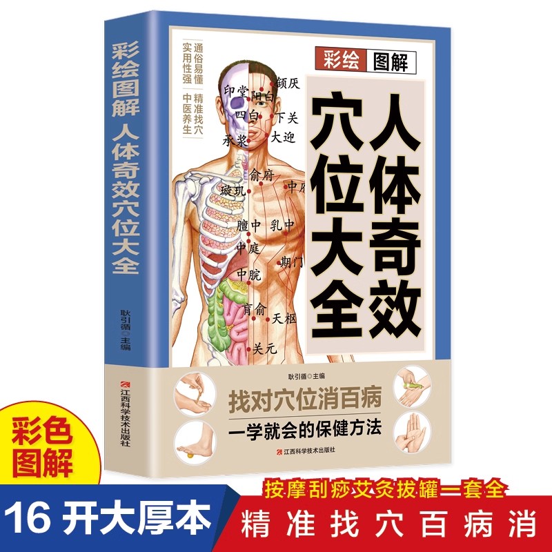 Health & Wellness Tourism - Acupoint Massage & TCM Health Preservation